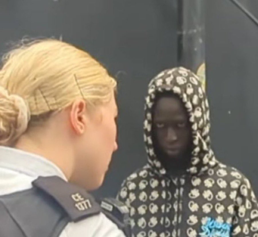 HJB News tweet media