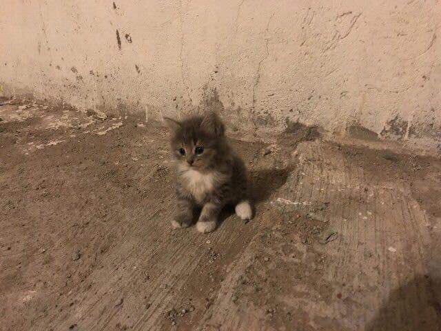 manyagimlann's tweet photo. sıkıntı küçük https://t.co/9uWIdJpHOw