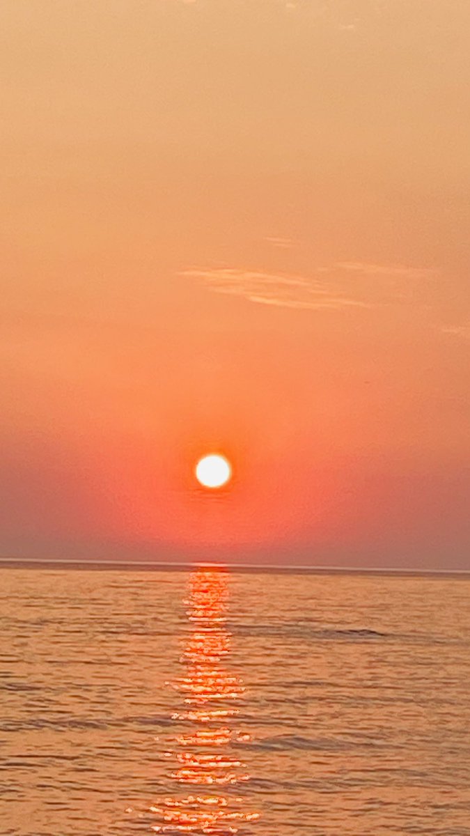 Un tuffo di felicità #SummerFeels #fyp #Roma