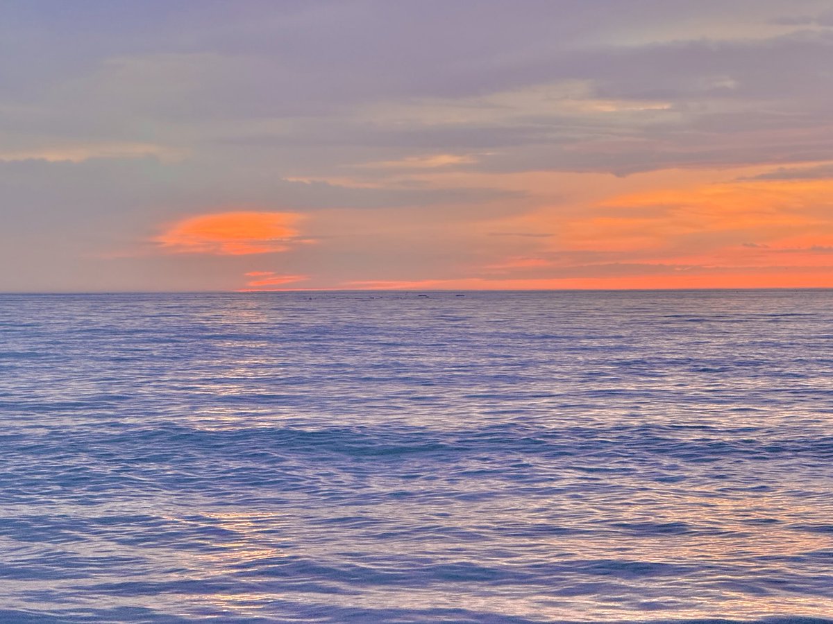 물이 차고 바다가 핑크빛이다