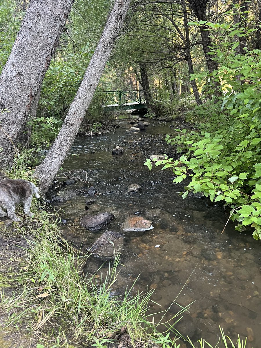 LichTamara's tweet image. I’m taking a time out for some camping at this hidden gem tucked away in Southwestern Saskatchewan.  No power, no services and barely any cell service.  My kind of paradise.