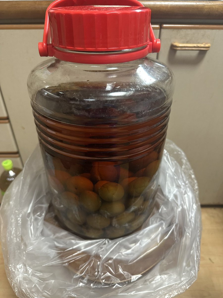 Ryota628's tweet photo. 台所の床下から

平成26年製梅酒
問題ないとは思うけど、飲むのが怖い。

平成29年製梅漬
全然問題ないのは分かってるけど、
これより前の梅漬がまだ大量に残ってる
(；´∀｀) https://t.co/EW54NOVTrp