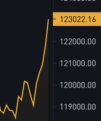 RoundtableSpace's tweet photo. JUST IN: $123K BITCOIN https://t.co/4OmzStgaD2