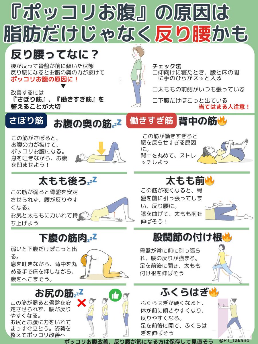 ダイエットしても下腹がへこまない。脂肪じゃなくて反り腰かも。骨盤が前に傾くと、お腹は自然と前に出ます。改善するには↓（サボり筋と働きすぎ筋の正体はリプ欄）