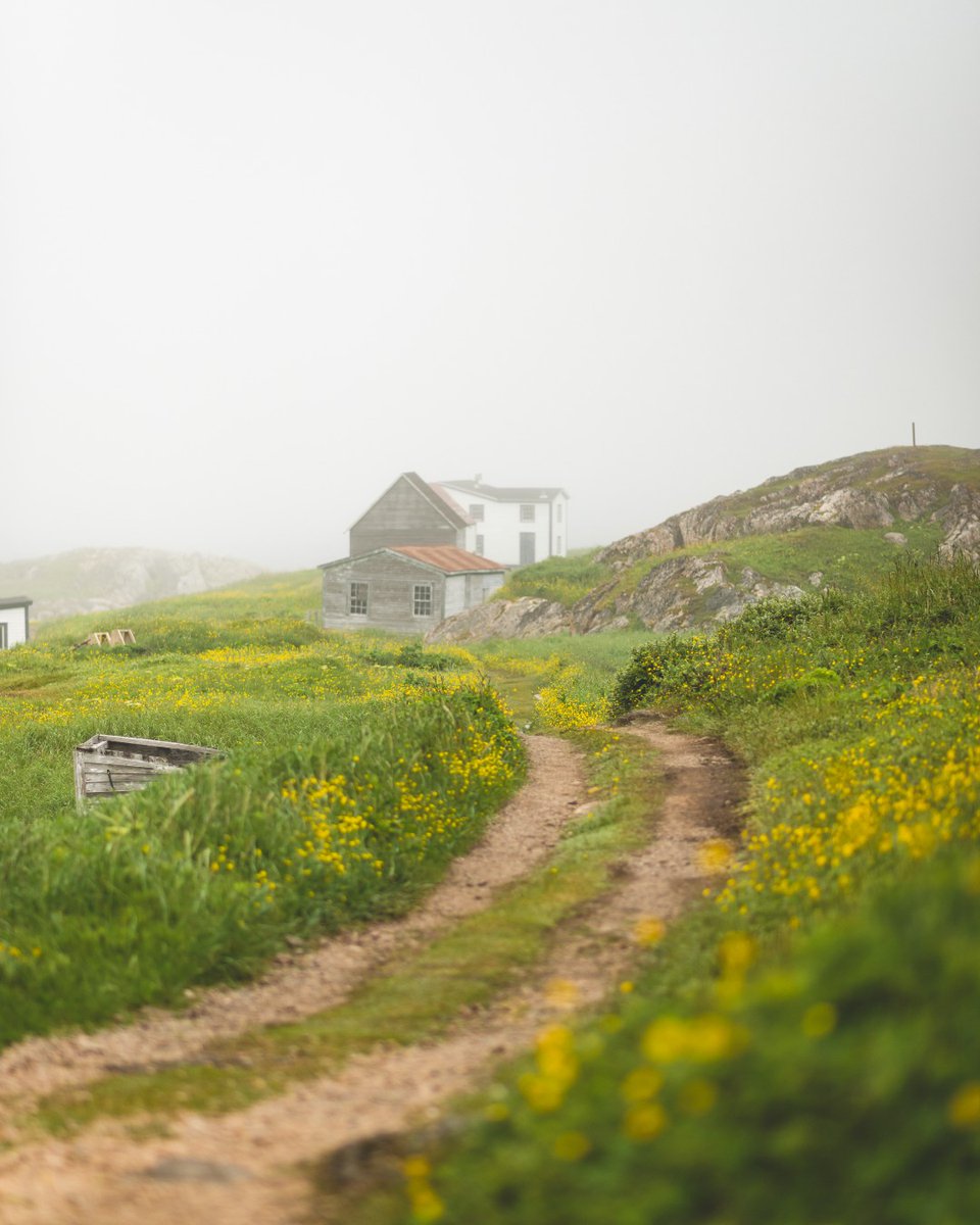 The roads here don’t rush...

➤ Plan your visit and walk the paths of the past: battleharbour.com

#BattleHarbour #NLTourism #ExploreNL #ExploreLabrador #NewfoundlandandLabrador #ExploreCanada