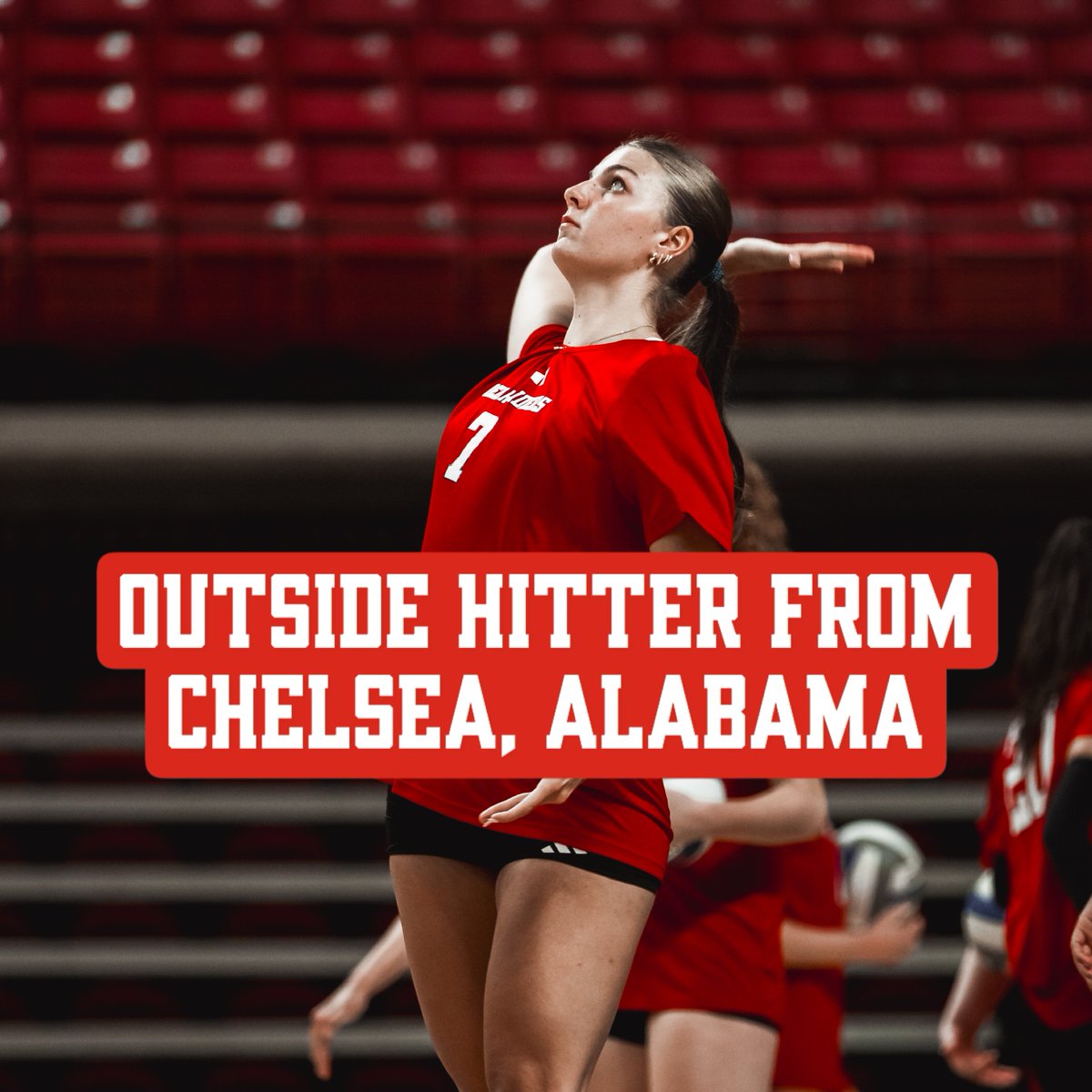 Texas Tech Volleyball tweet media