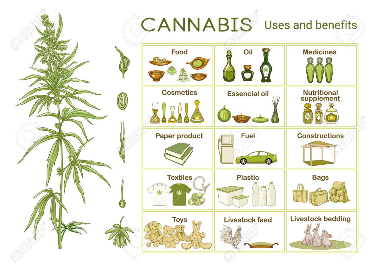 Hmmm....I wonder if we should ban this plant. How politics and lobbying power is allowed to hinder the advancement of humanity is beyond me...

Always for the culture.

Weedcoin - Like bitcoin but way higher.

21nnfR4TkbZNLwvRrqEseAbz7P3kxKjaV7KuboLJpump