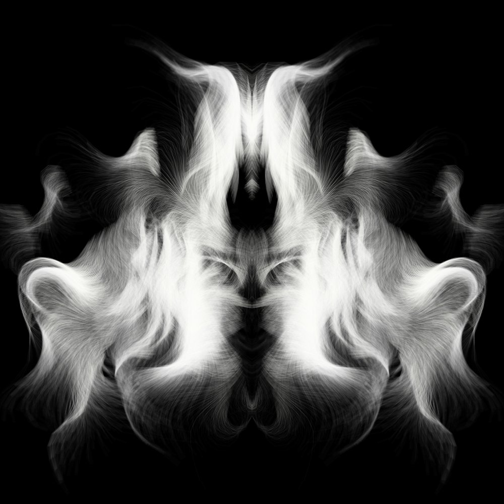 JeffClark's tweet image. Rorschach Codex #wip 
- simplify to black and white
- symmetry and flow
#CodeGenerated