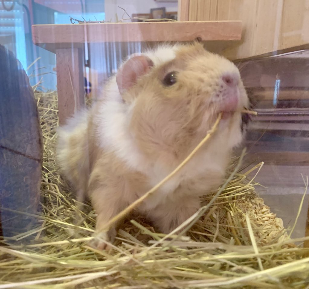 Ich weiß nicht, wer das mal hören muss, aber Rechte für Minderheiten oder marginalisierte Gruppen nehmen euch genau Nix weg also haltet einfach euer Maul 😌