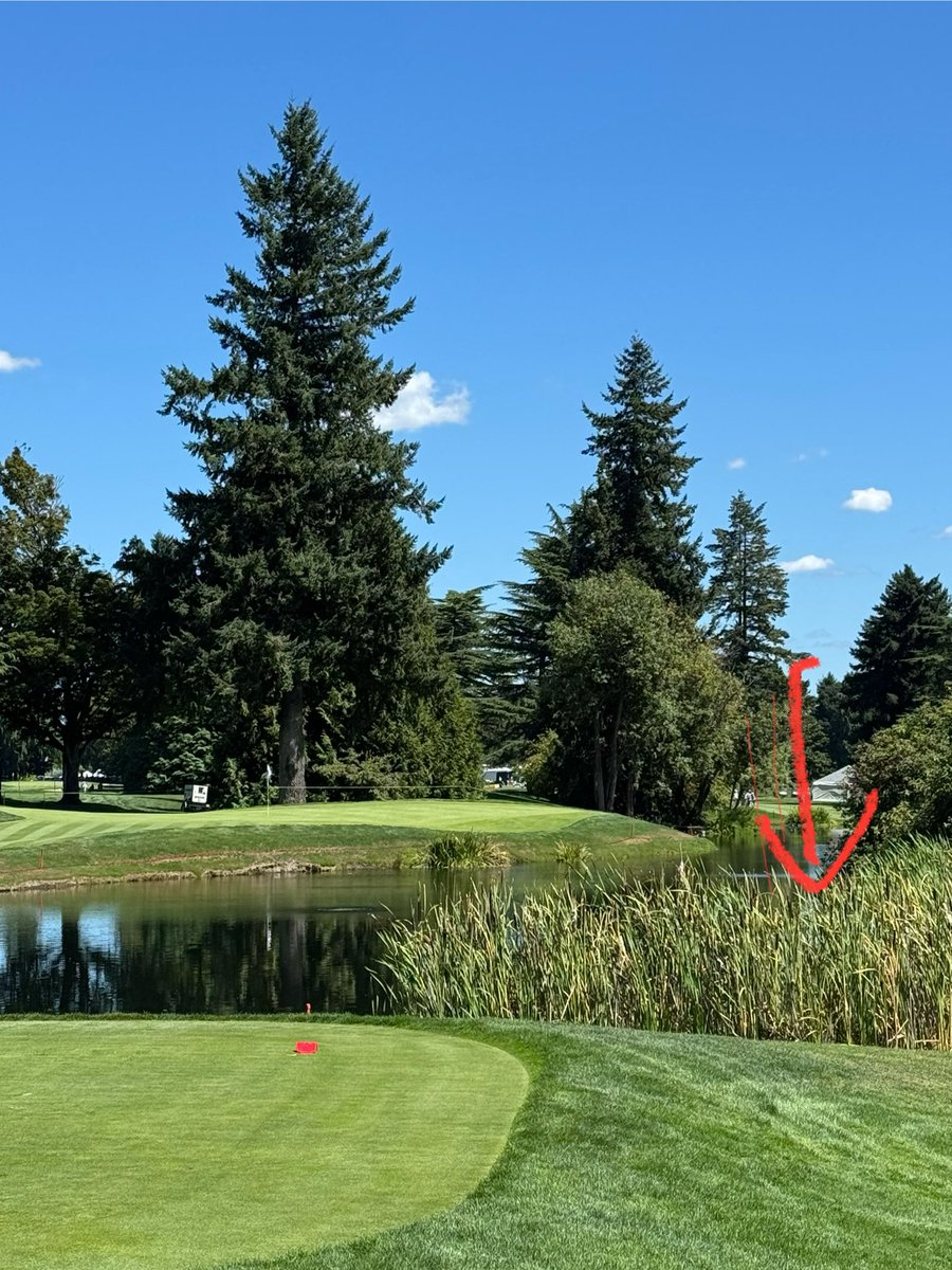 I can confirm that this is final resting place of one of my putters.. #waterygrave 
<a href="/JerryFoltzGolf/">Jerry Foltz</a> <a href="/TheGhostofhogan/">Paul Regali</a>