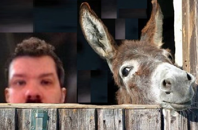 SingleDude77's tweet image. #DaRealPatrickP