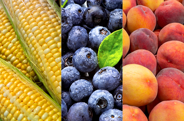 A variety of local produce is now available in CNY from Crop2Shop farmers like Grindstone Farm! 🫐🥬🍅 Visit them here for your fresh, local items! crop2.shop/grindstone-far…