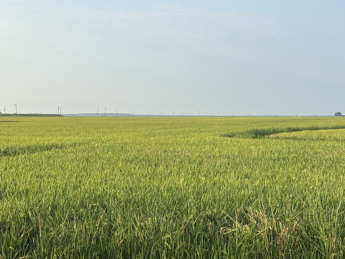 Eddy Cates tweet media