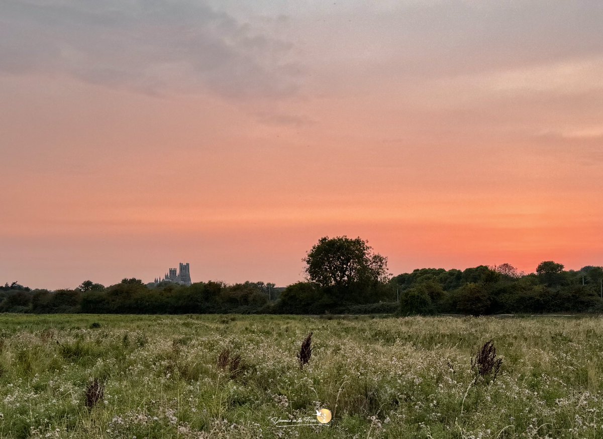 VeronicaJoPo's tweet image. Red Sky at night shepards delight this evening in Ely, Cambridgeshire 🧡❤️🧡
#Sunset #RedSky #Ely