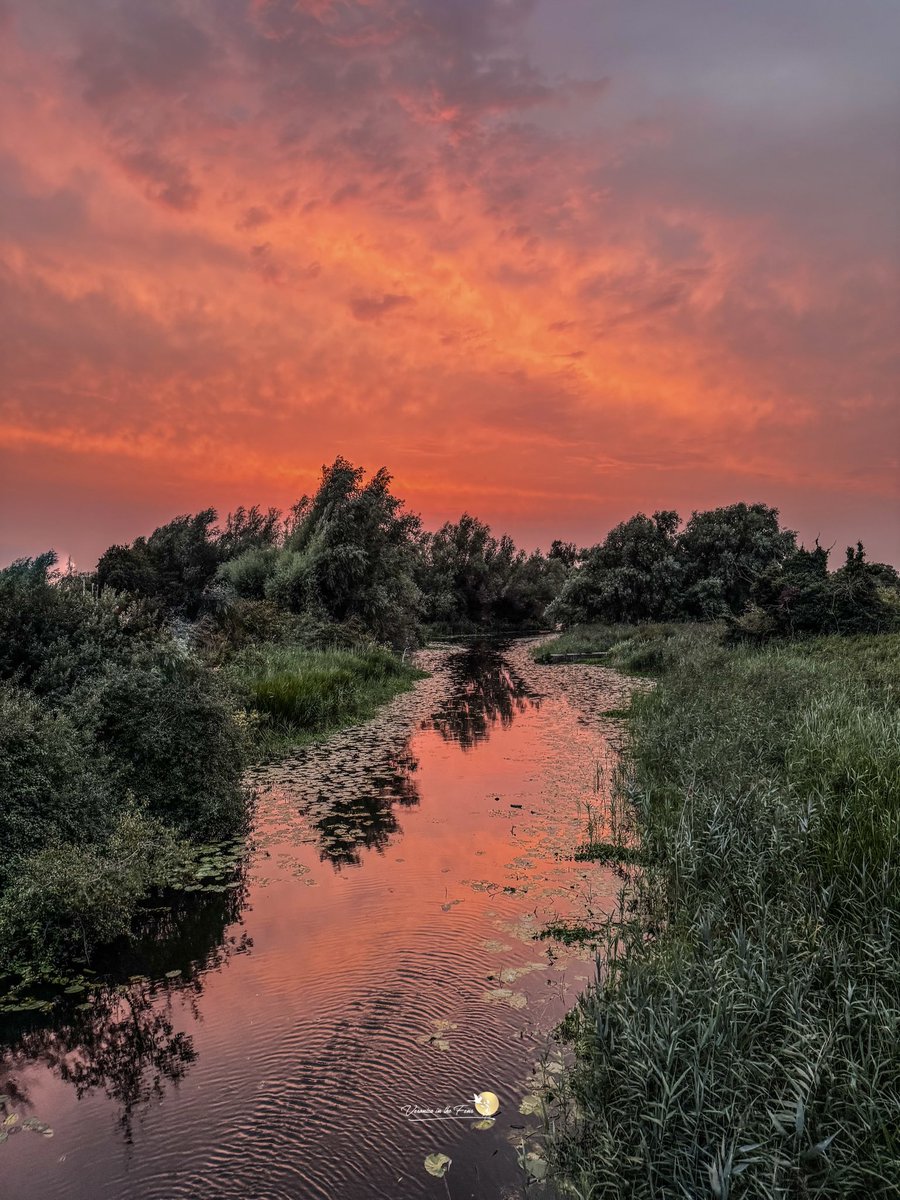 VeronicaJoPo's tweet image. Red Sky at night shepards delight this evening in Ely, Cambridgeshire 🧡❤️🧡
#Sunset #RedSky #Ely
