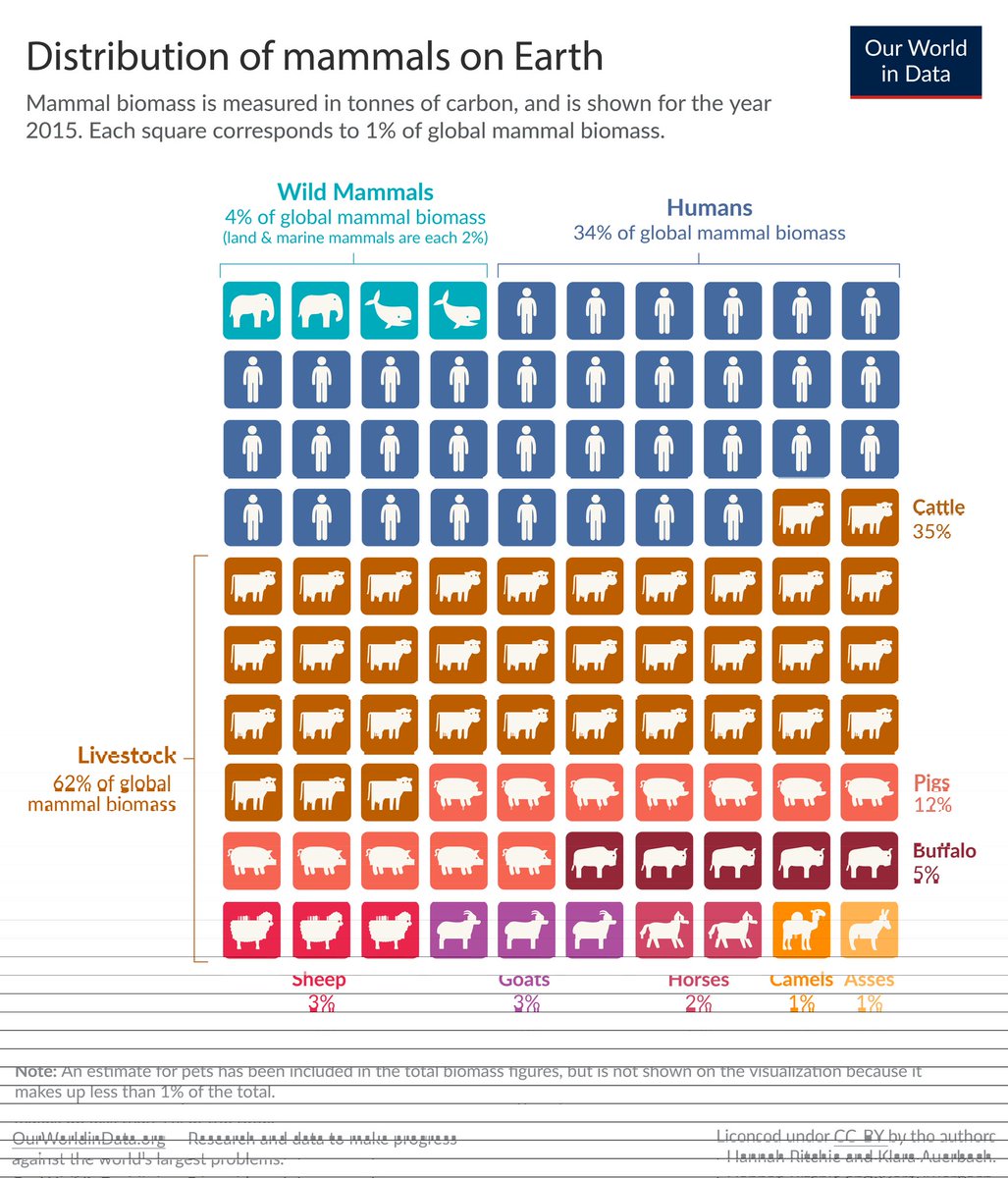 dmbeynon's tweet photo. @owenjonesjourno @JeffNippard A gradual phasedown @owenjonesjourno and long overdue. The largest scale cruelty on the planet: 62% of all mammals by weight are farmed animals and the majority are factory farmed. Would be transformative - consider the food/land/water/carbon it takes to feed them all... https://t.co/nRpoxxVERL