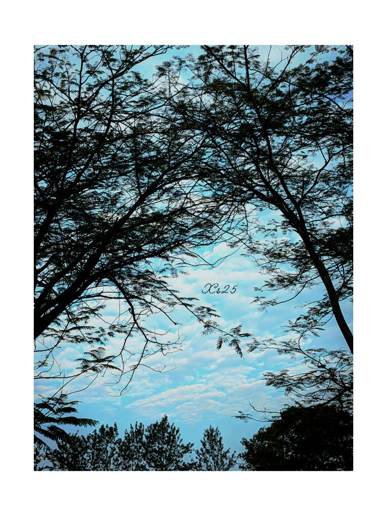 If creation sings Your praises so will i