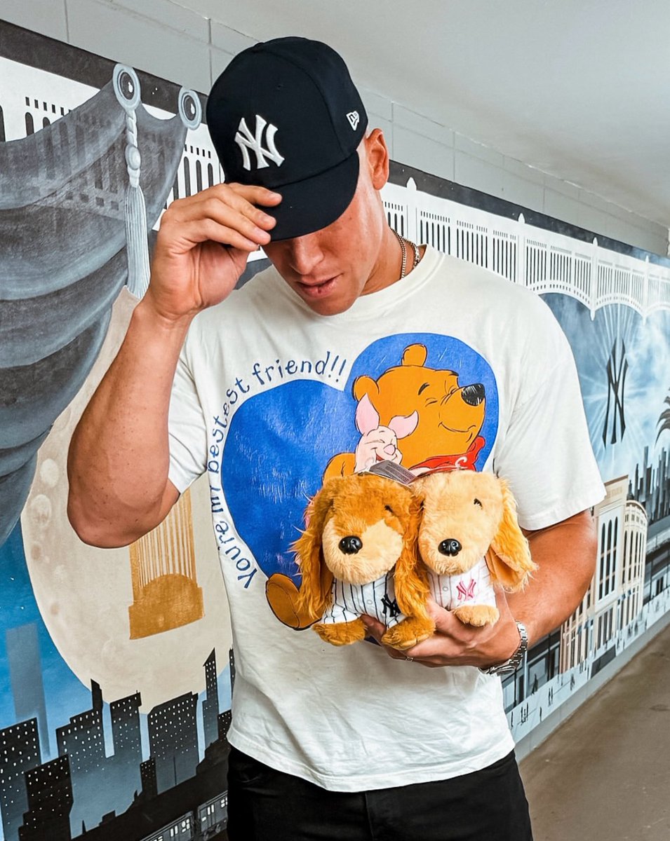 The Yankees are now selling plush versions of Aaron Judge’s two dogs, Gus and Penny at Yankee Stadium🥺

#Yankees