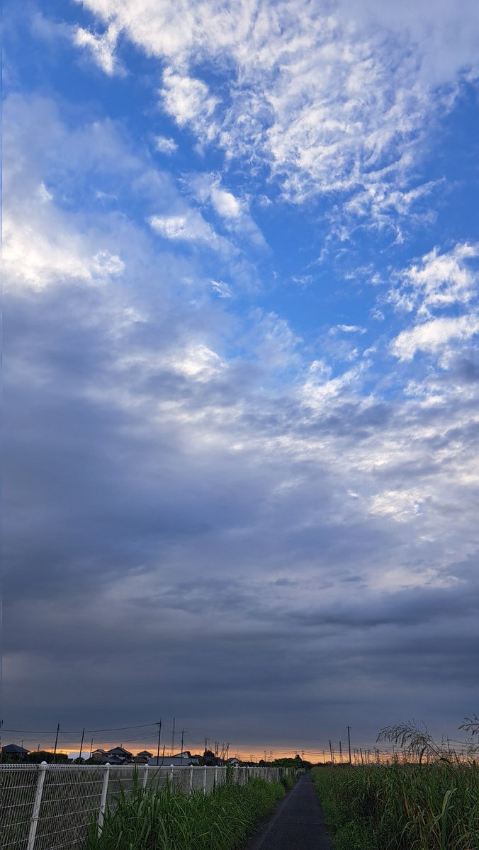 sp_hhhhh3687's tweet photo. #イマソラ
おはよーございます
朝のひとまわり！ https://t.co/JChbOvkOhp