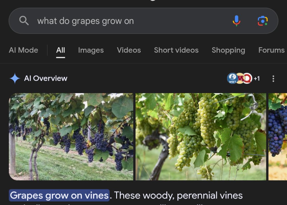 Grangalf tweet media