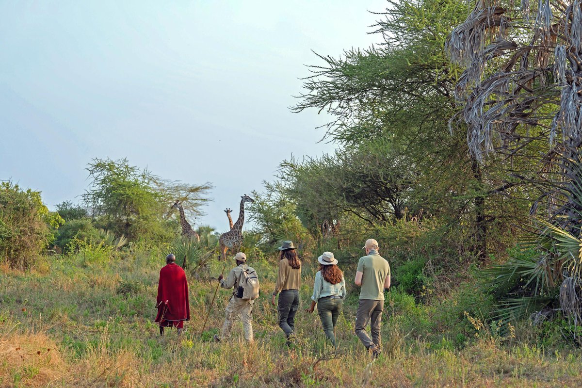 Rothschild Safaris tweet media