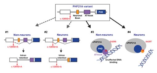 Iwase Laboratory tweet media