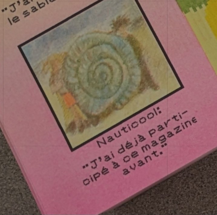 bor 🍉 tweet media