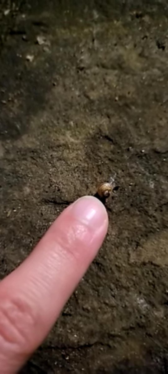 bor 🍉 tweet media