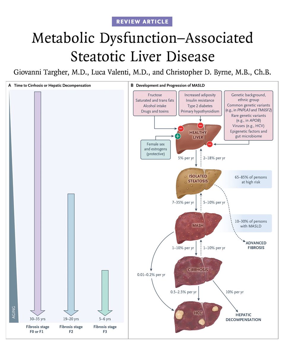 NEJM (@nejm) on Twitter photo MASLD has become the most common chronic liver disease worldwide. Giovanni Targher, MD, Luca Valenti, MD (<a href="/lucavalenti75/">Luca Valenti</a>), and Christopher D. Byrne, MB, ChB, review the features of the disease as well as pharmacotherapies targeting the associated liver and MASLD has become the most common chronic liver disease worldwide. Giovanni Targher, MD, Luca Valenti, MD (<a href="/lucavalenti75/">Luca Valenti</a>), and Christopher D. Byrne, MB, ChB, review the features of the disease as well as pharmacotherapies targeting the associated liver and