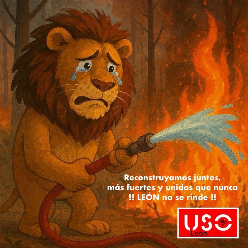 FeusoLeon's tweet photo. https://t.co/NFSzSBIGwx