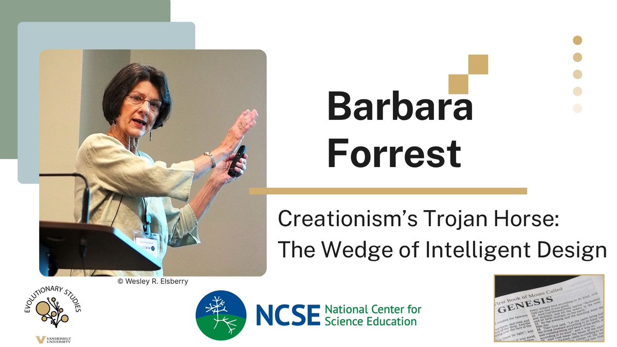 EvolutionVU tweet media