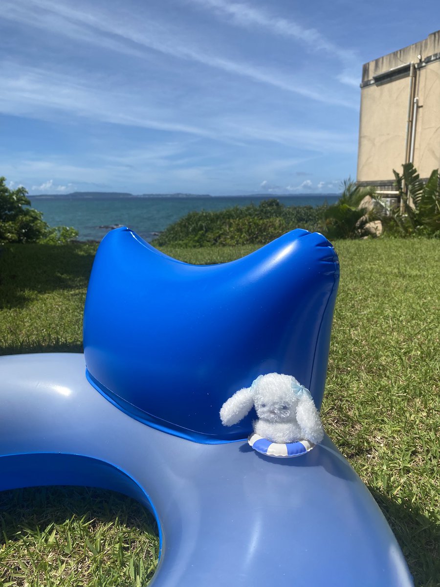 かわいい

#ぬいぐるみ