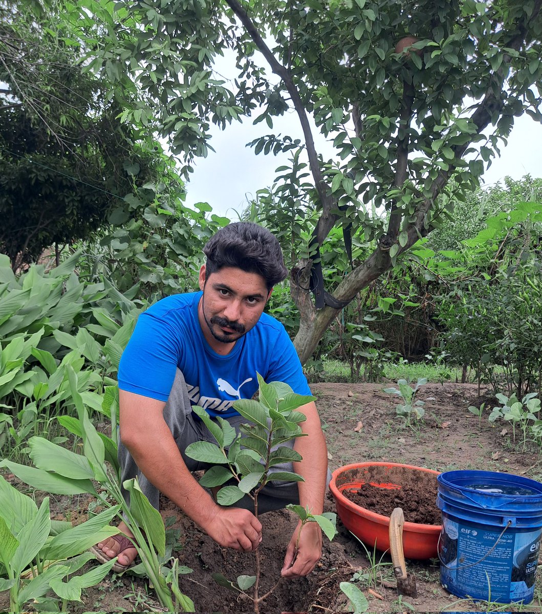 pardeepbatish87's tweet photo. @DSSNewsUpdates @insan_honey @GreenSwelfares #MyGiftToMSG #gogreen #saveenvironment #nature #TreePlantation 
Planting a 🌲tree is Planting a hope for generation. https://t.co/URTwQTtVhI