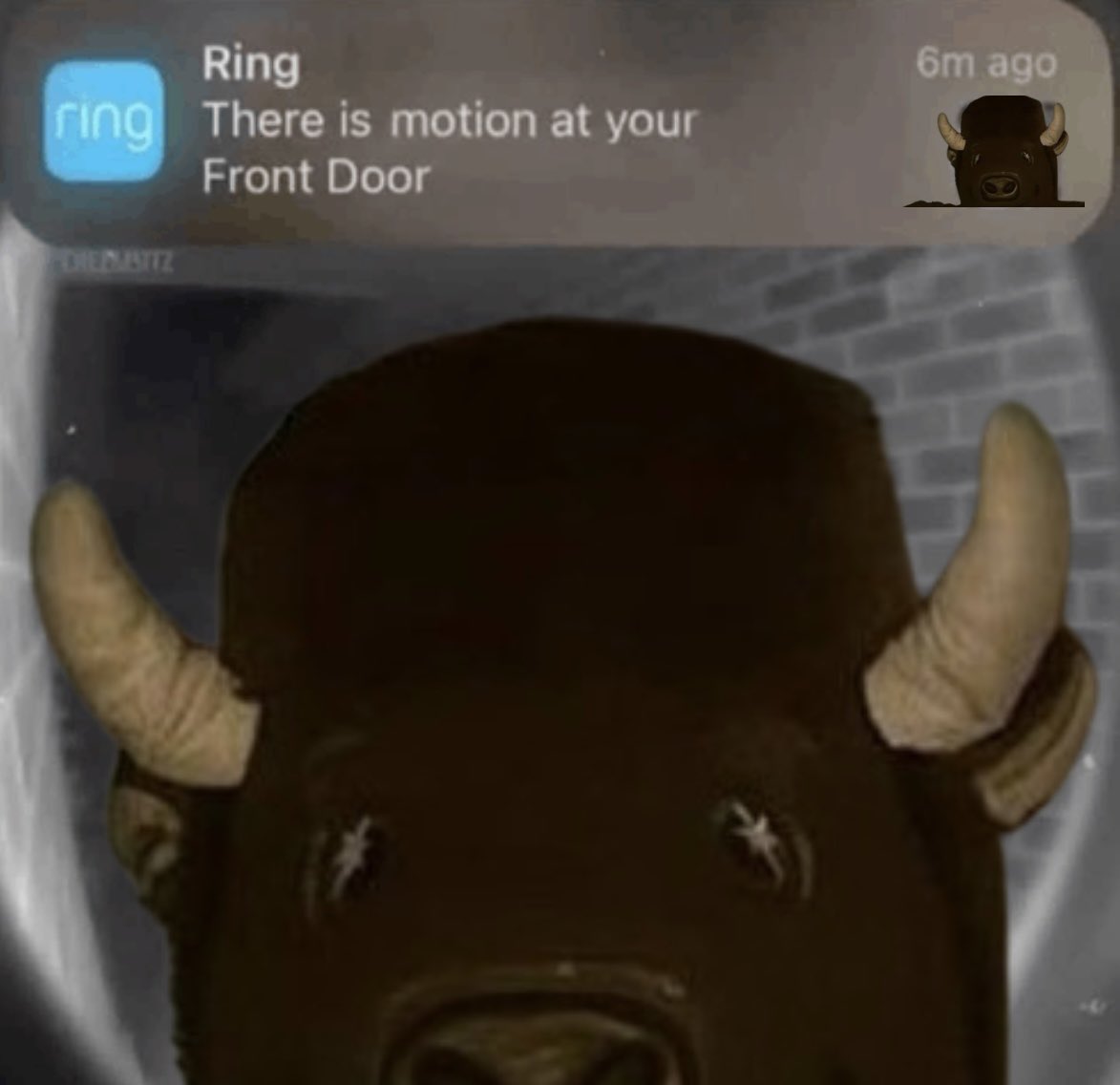 Athens Georgia Homeowners checking their Ring notification around 10:30pm on August 29th.