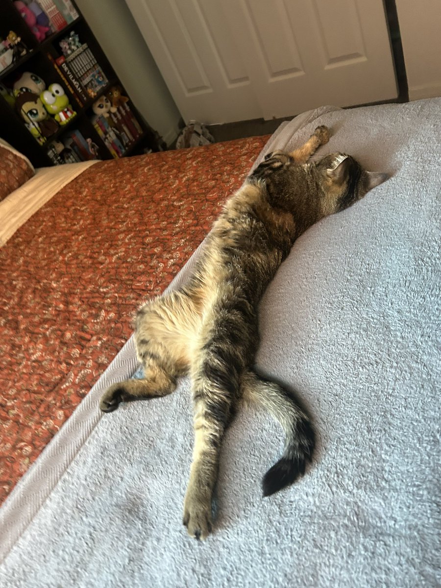 pseudonight's tweet image. He’s so strange.