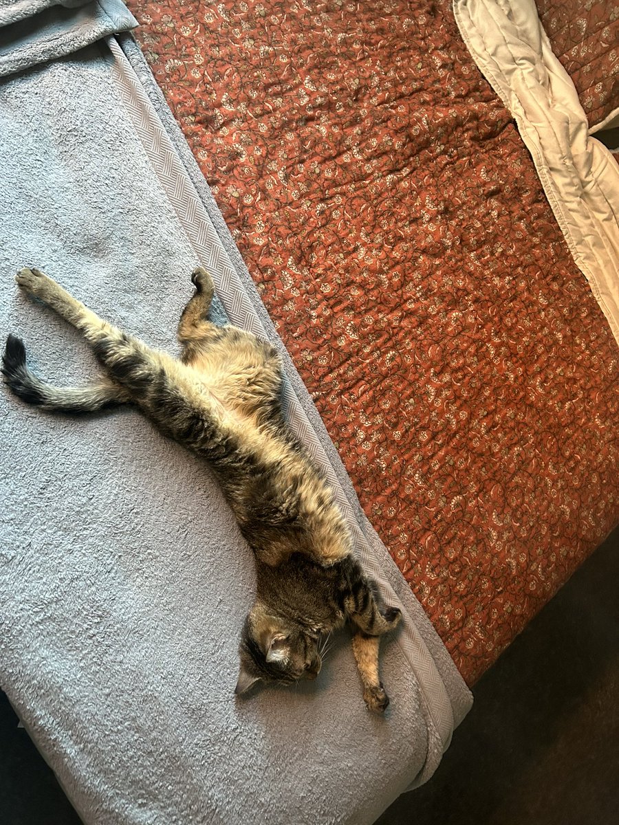 pseudonight's tweet image. He’s so strange.