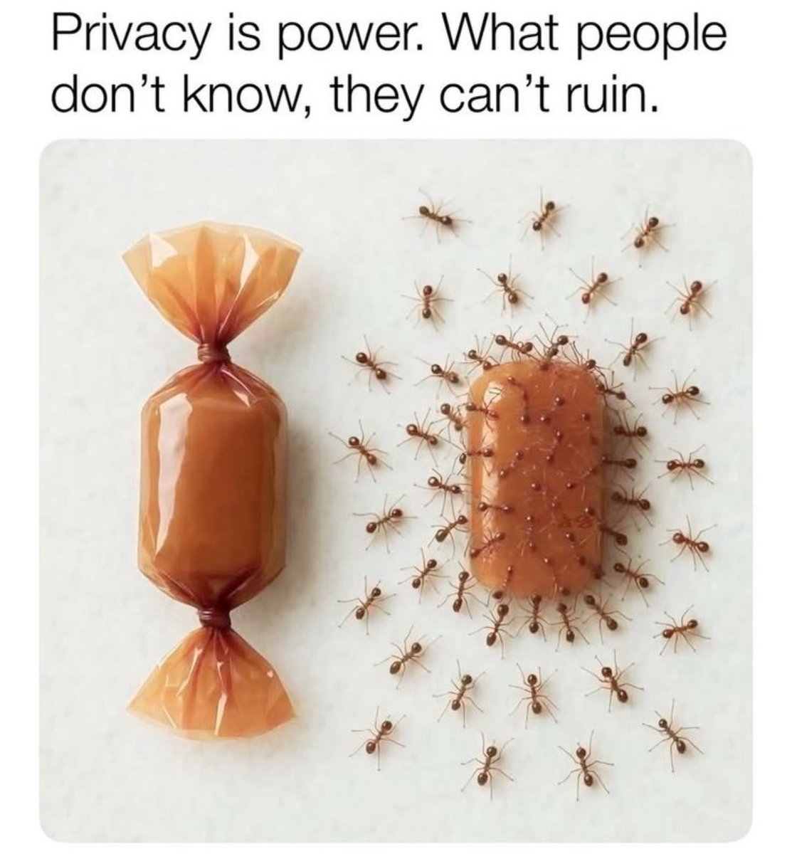 GrindFace TV (Entertainment) (@grindfacetv) on Twitter photo 