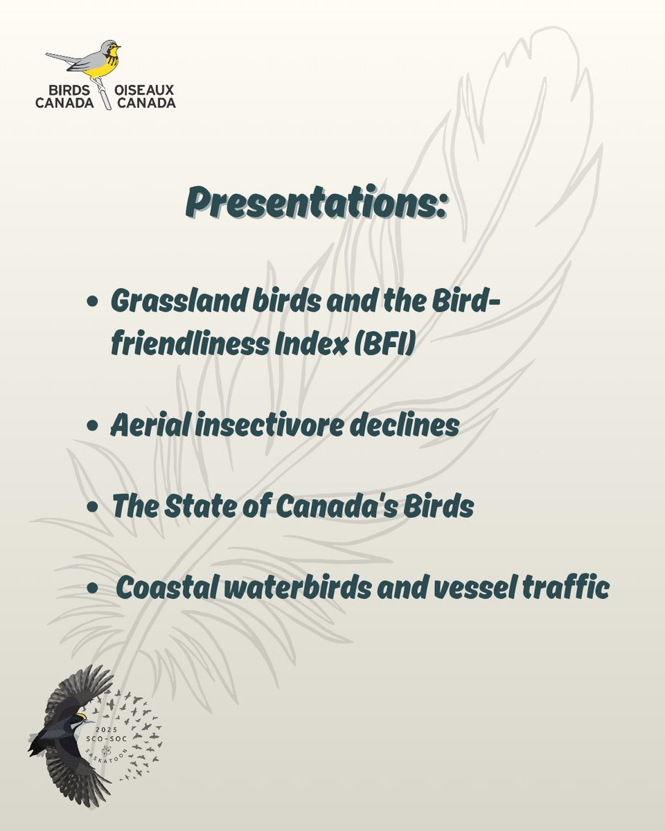 SCO-SOC_2025_Saskatoon tweet media