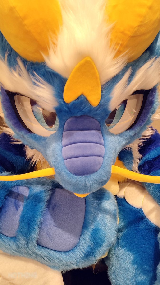 🪽天藍・オイカゼ🔜 (@azzurro_wind) on Twitter photo 