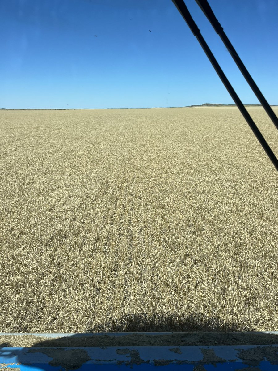 Brock Linker tweet media