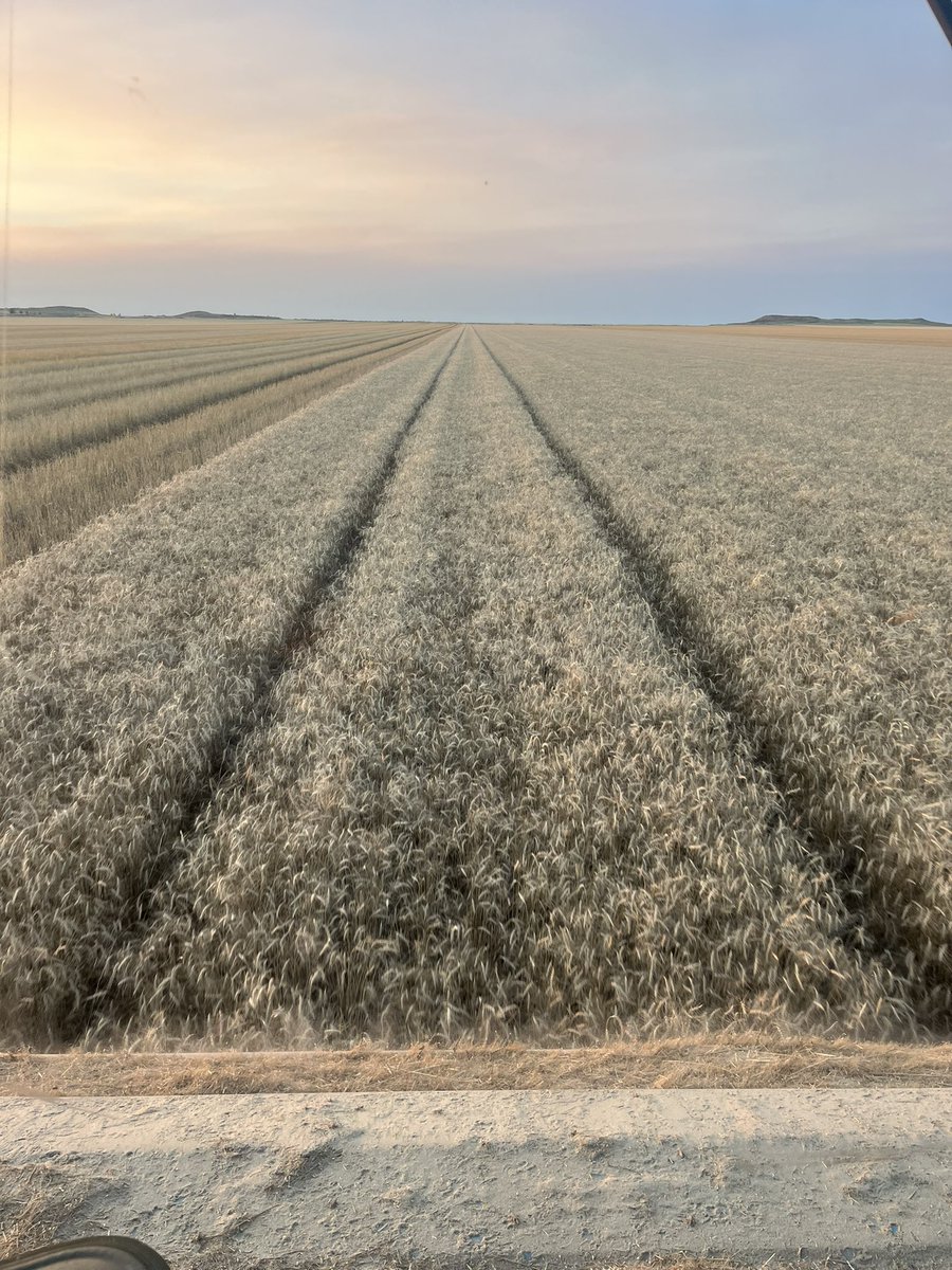 Brock Linker tweet media