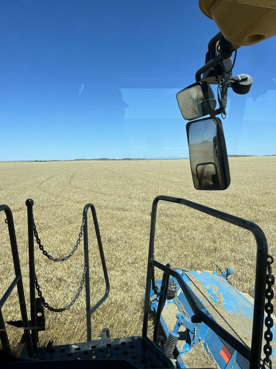 Brock Linker tweet media