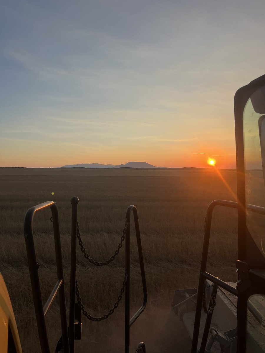 Brock Linker tweet media