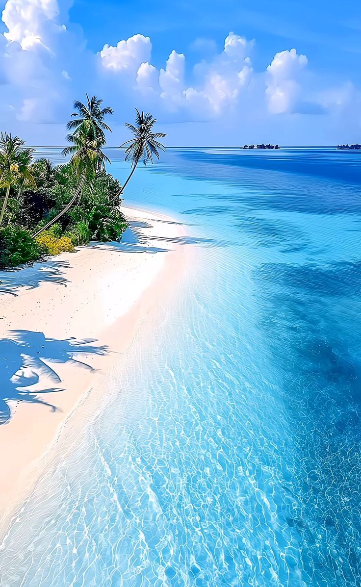 النفسيه محتاجه