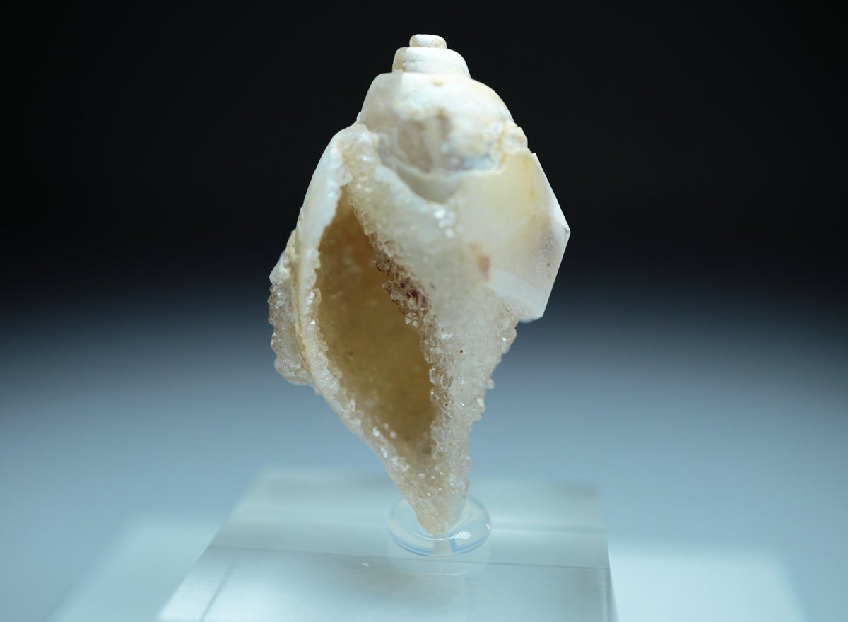 ✦ː────────── 8/14 Day14 ───────────ː