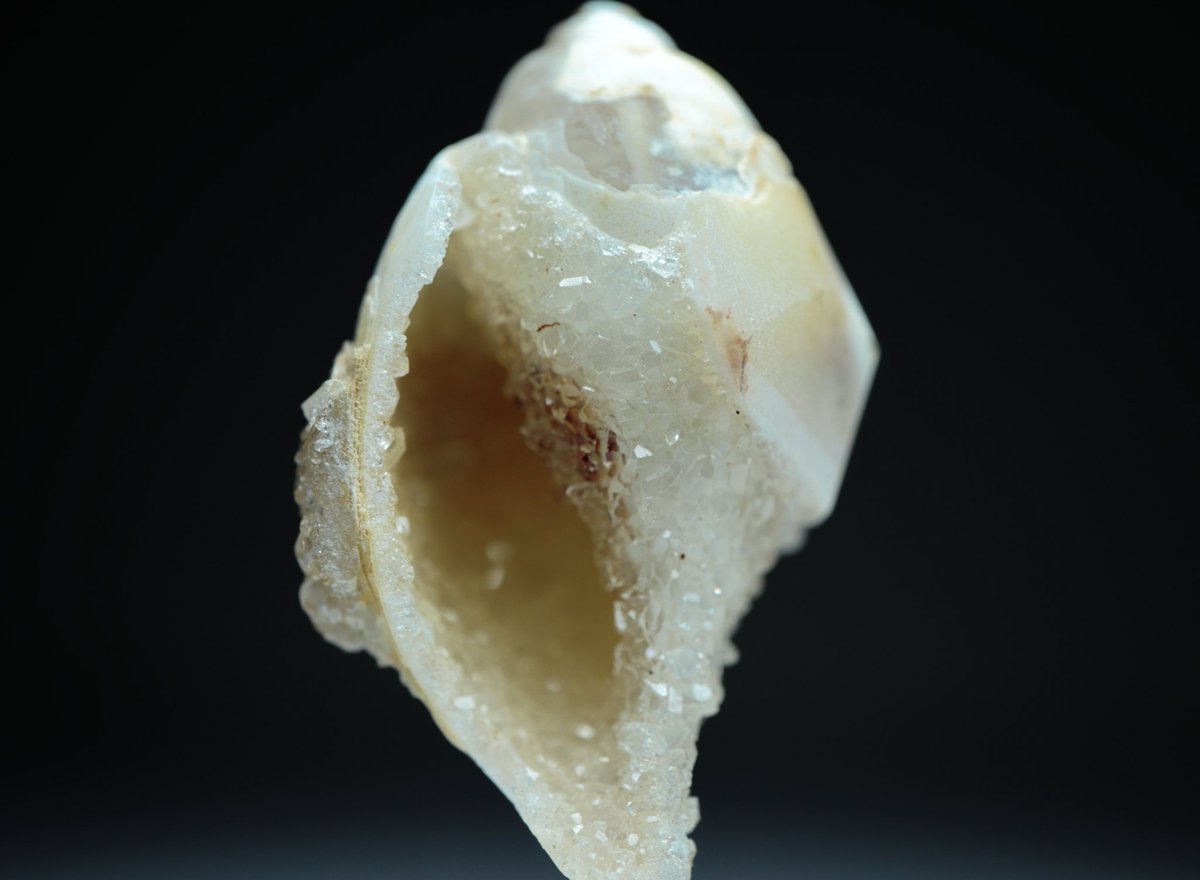 ✦ː────────── 8/14 Day14 ───────────ː