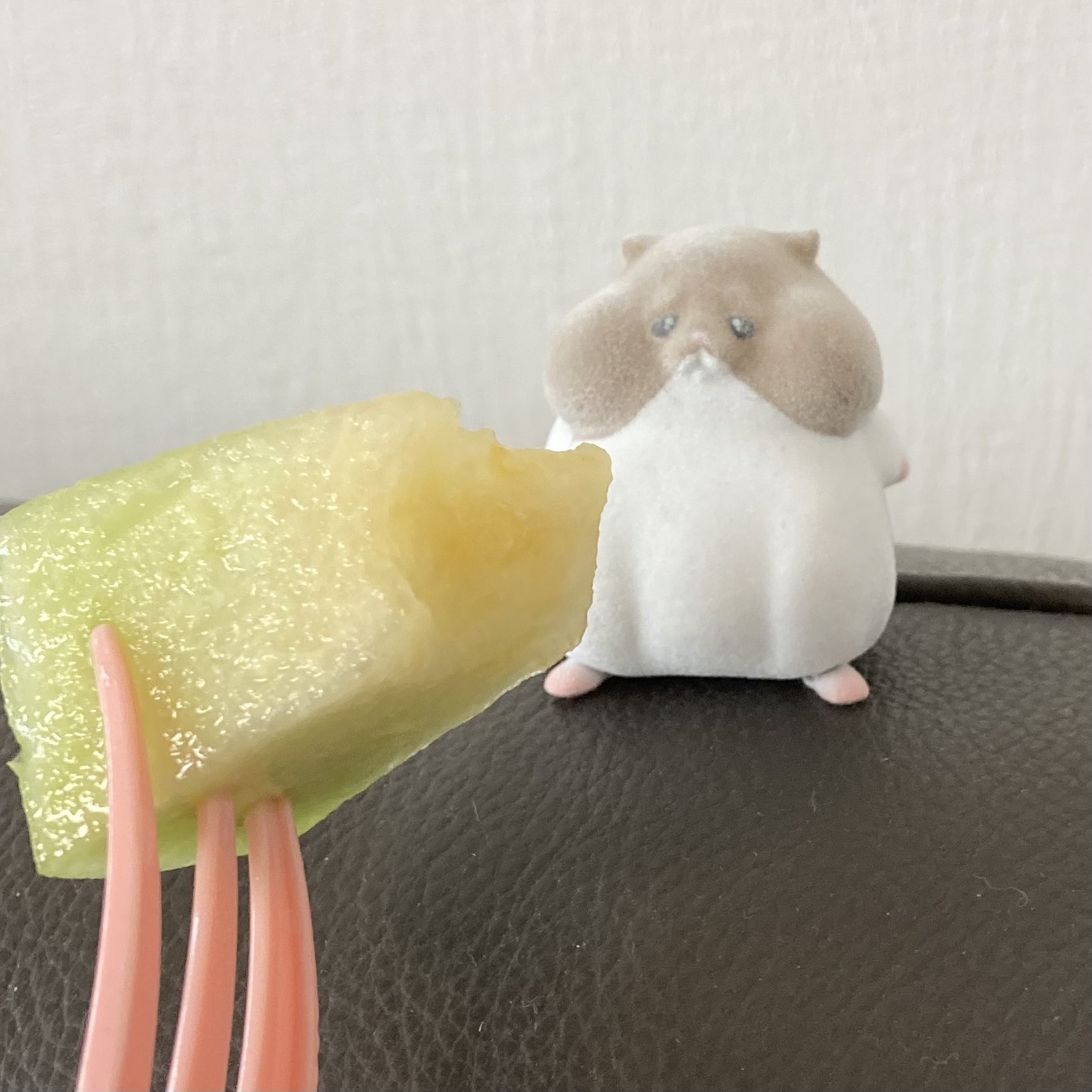 おかゆとかいぬし on X: 