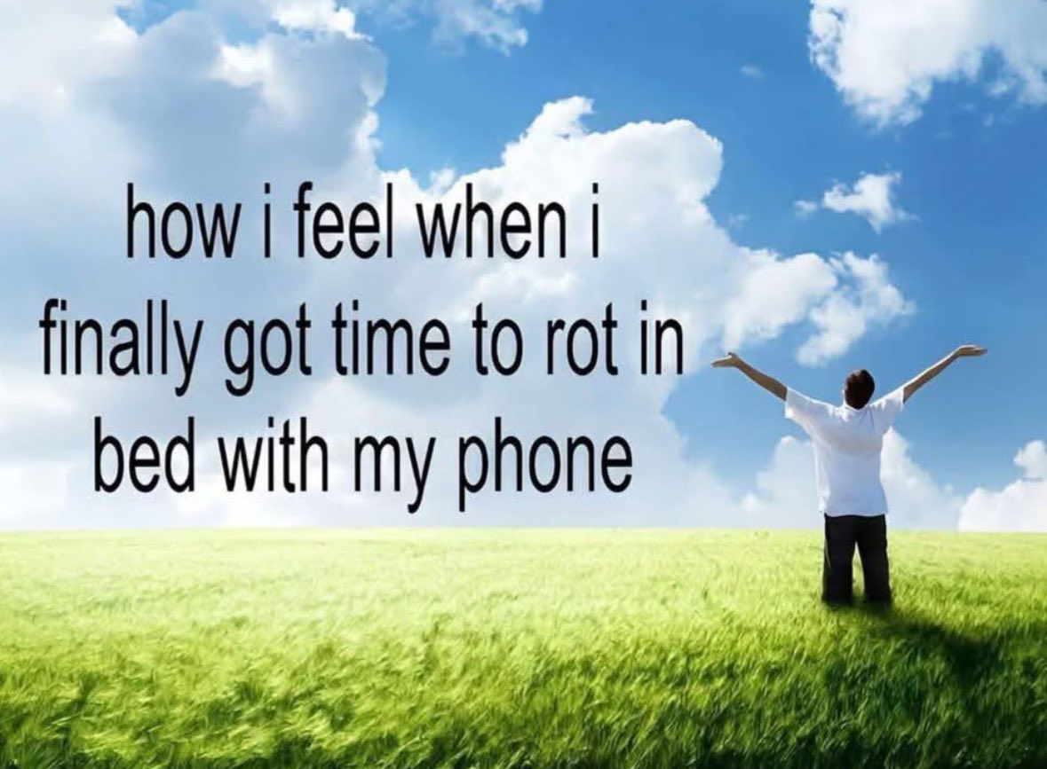 RespectfulMemes's tweet photo. https://t.co/Q9VPgWzNvM