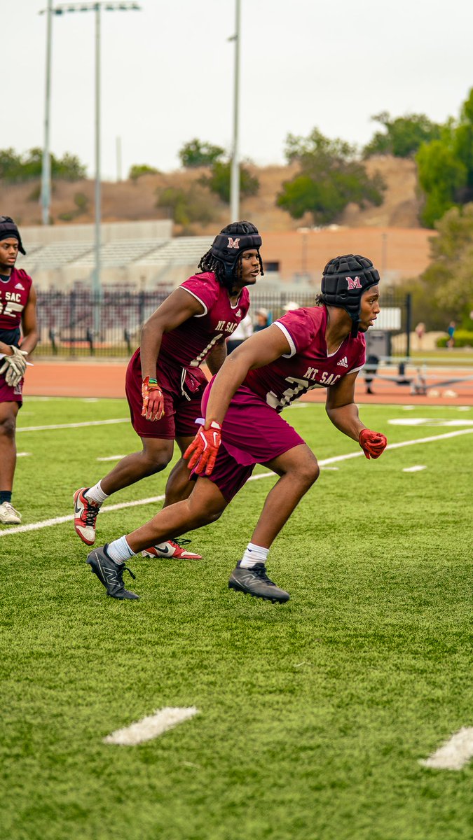 Solomon Tripline tweet media