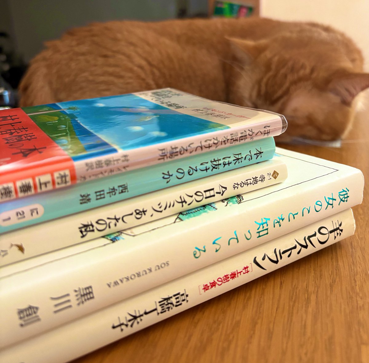 Green_Sheep715's tweet photo. 京都の下鴨納涼古本まつりと常設の古本屋さんで購入🫶
#読書好きさんと繋がりたい 
#今日買った・届いた本を紹介する https://t.co/FwMQDn4Ssc